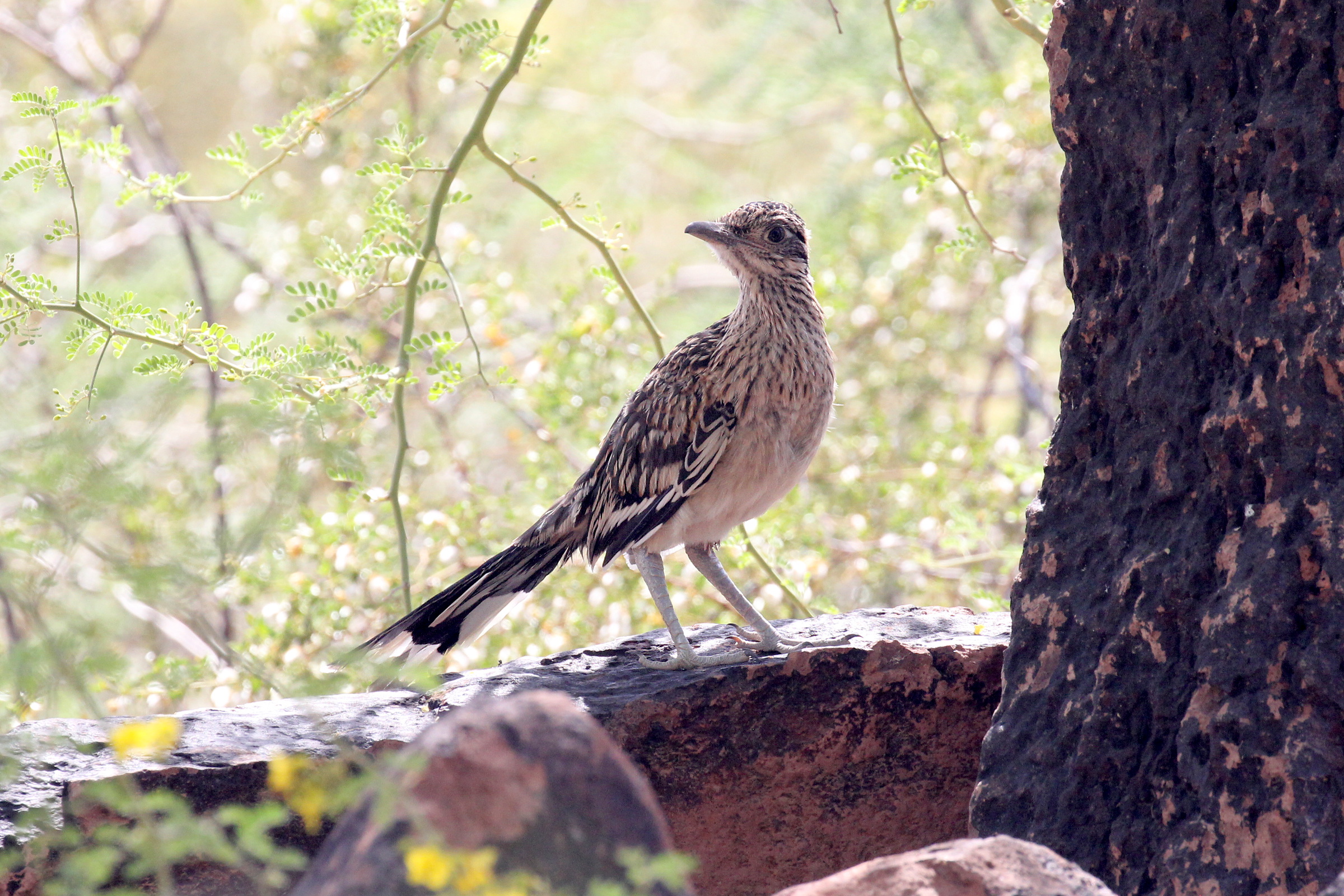[photo]